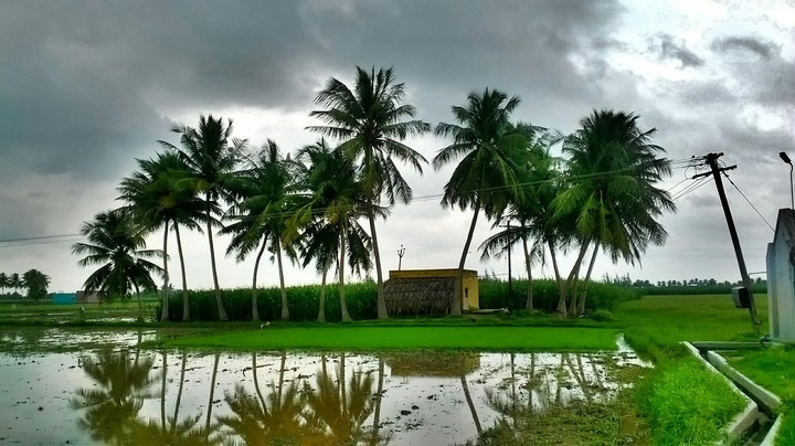 Villege Scenery