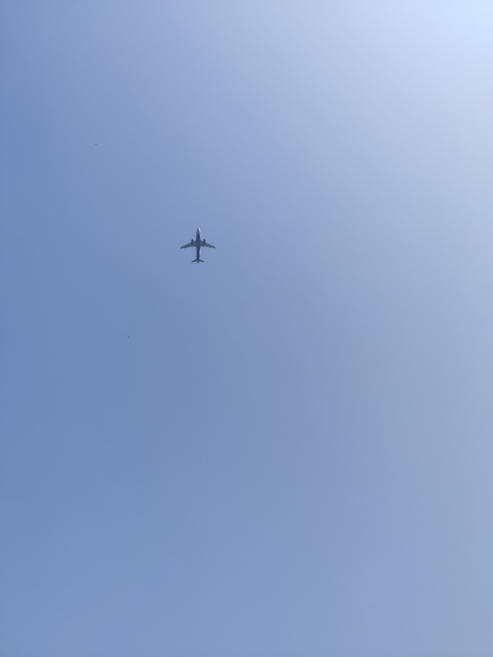 fly away