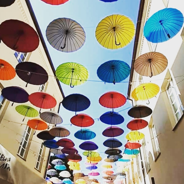☂️☂️☂️