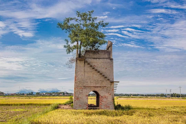 field tower