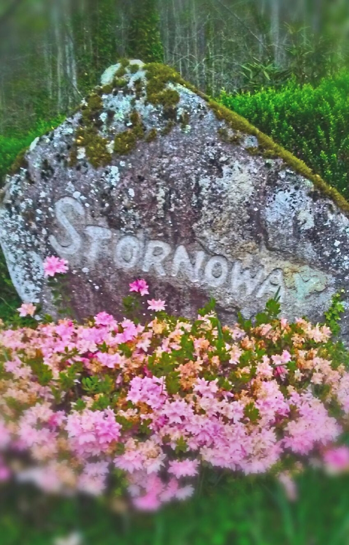 Stornaway Rock