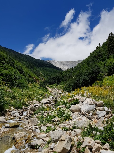 Nature