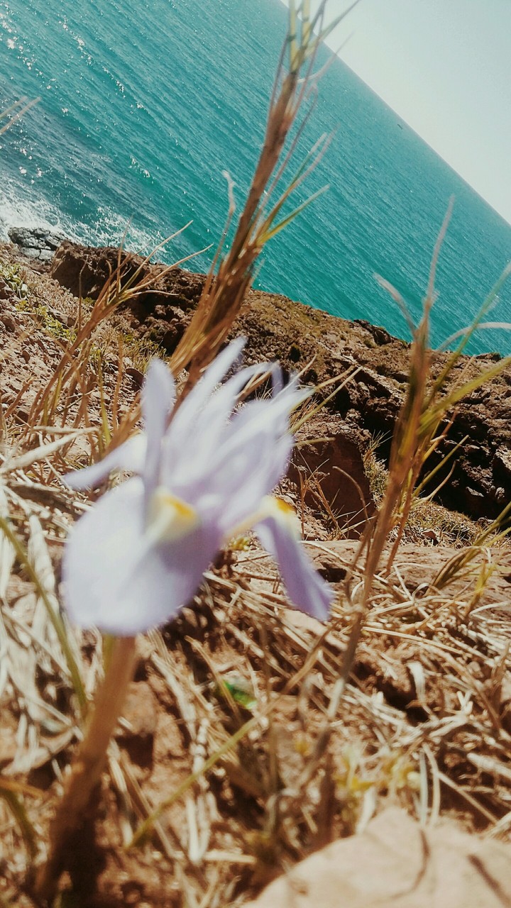 sea