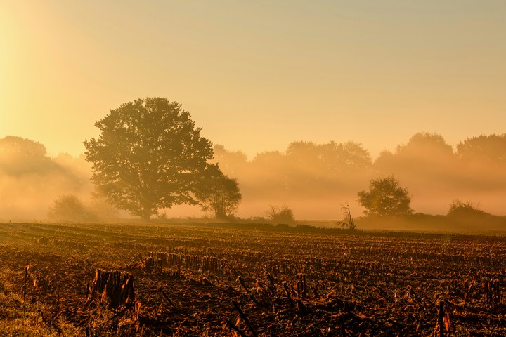 Herbst