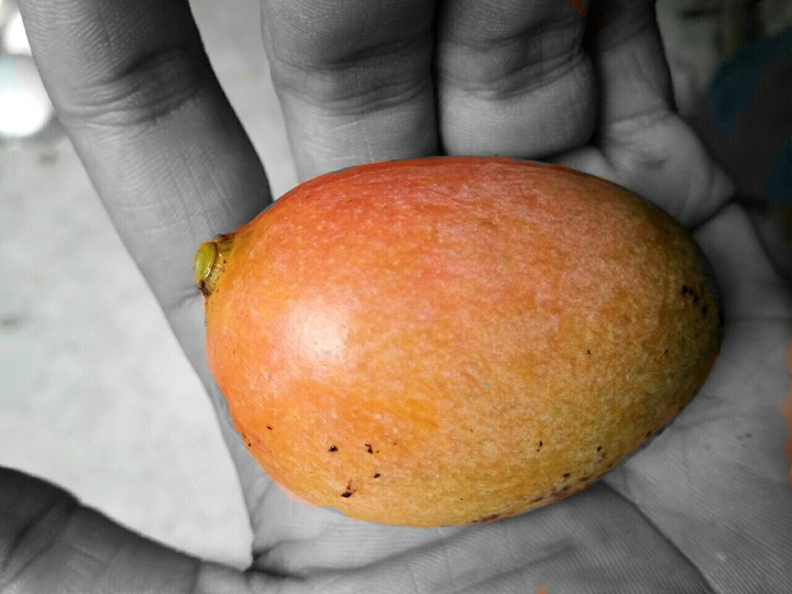 sweet mango