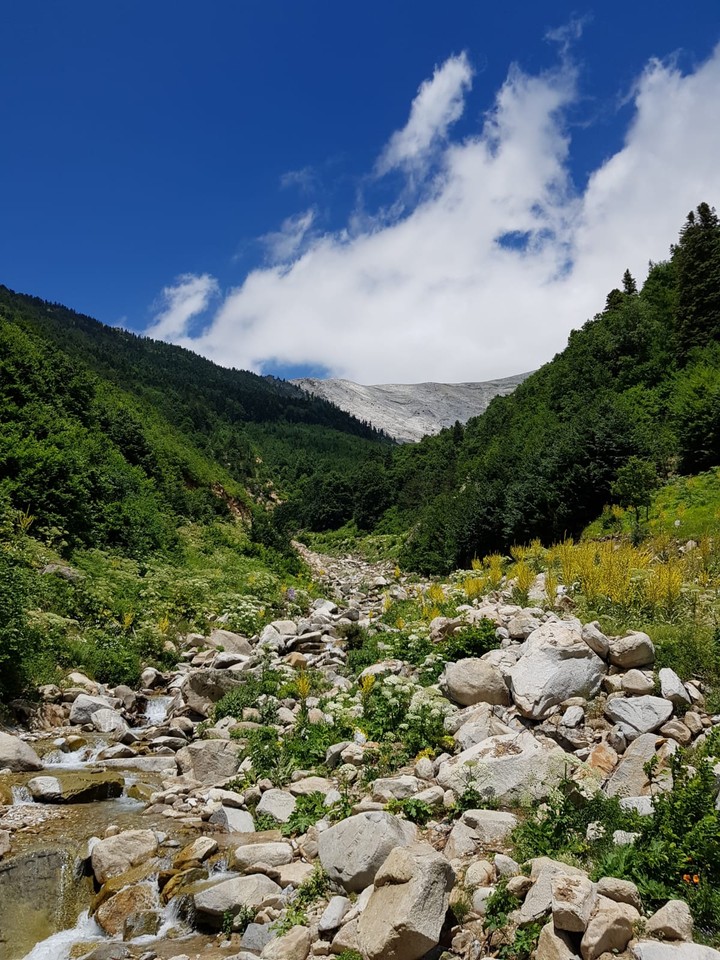 Nature