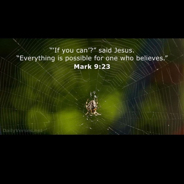 Bible Quotes