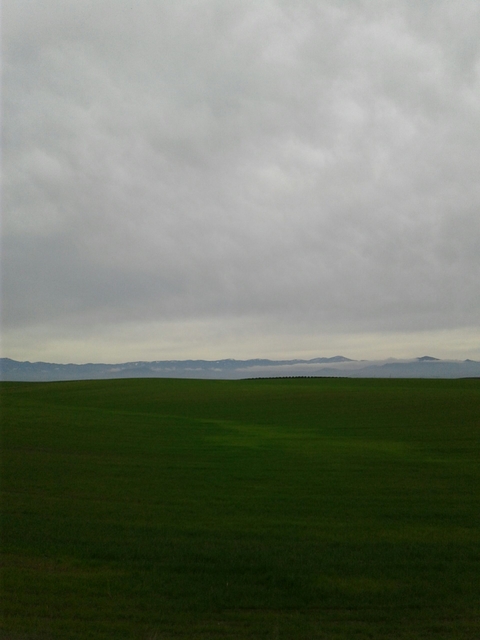 large plain
