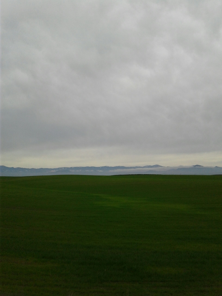large plain