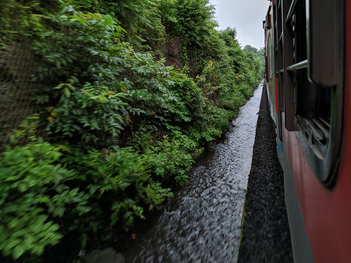 Train Rushing through greens