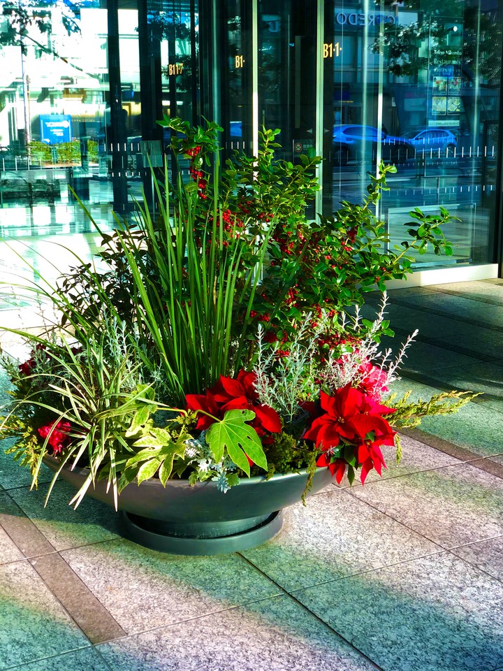 Ikebana   Xmas version