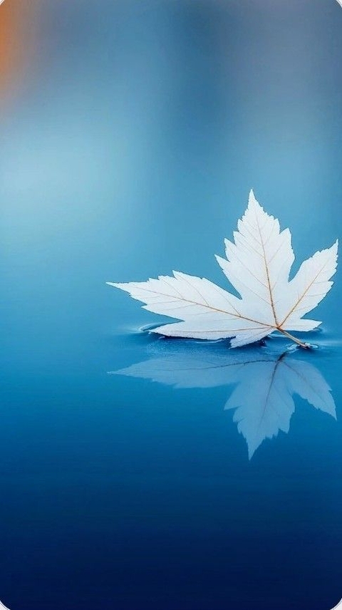 Beautiful