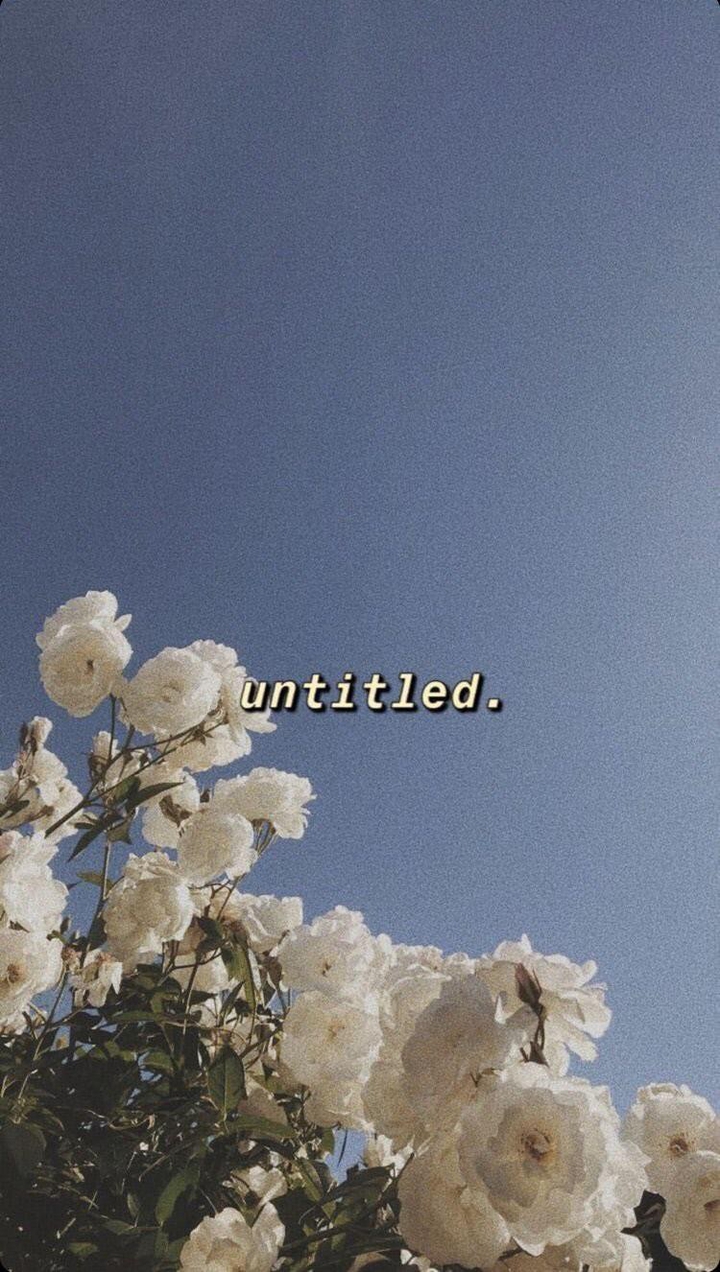 ?✨?