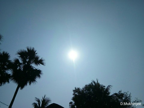 Afternoon Photography