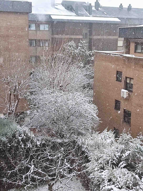 Nieve - Madrid