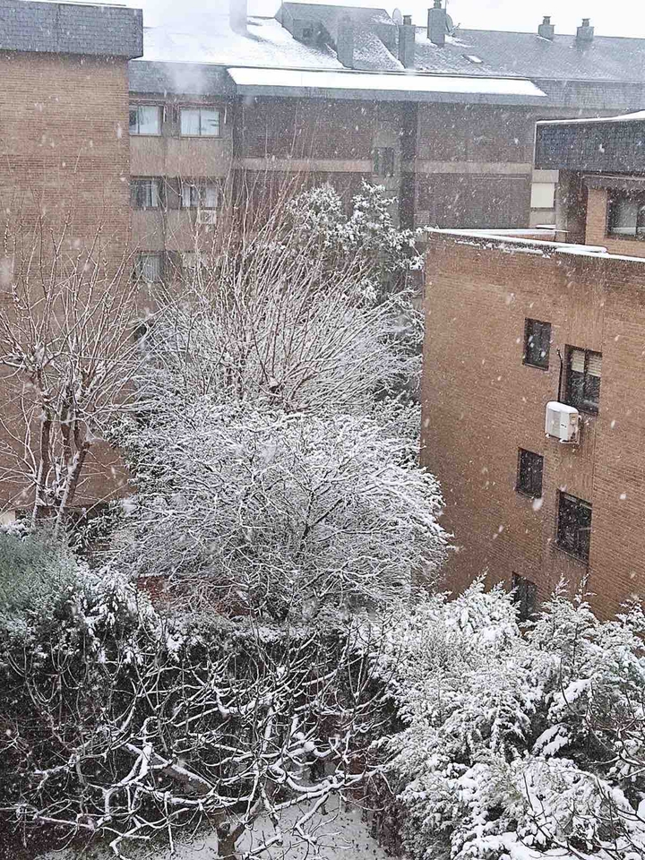 Nieve - Madrid
