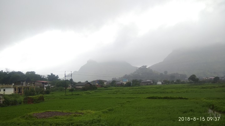Nature