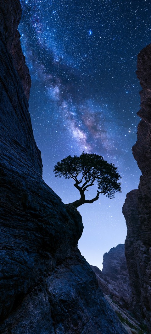 шпалери galaxy, bedrock