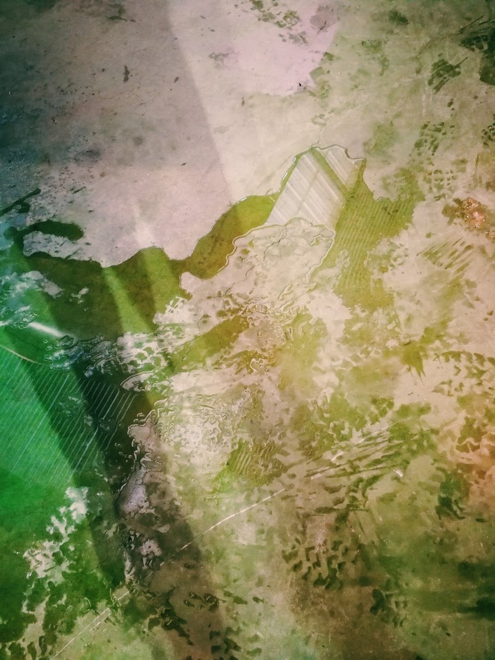 Texture