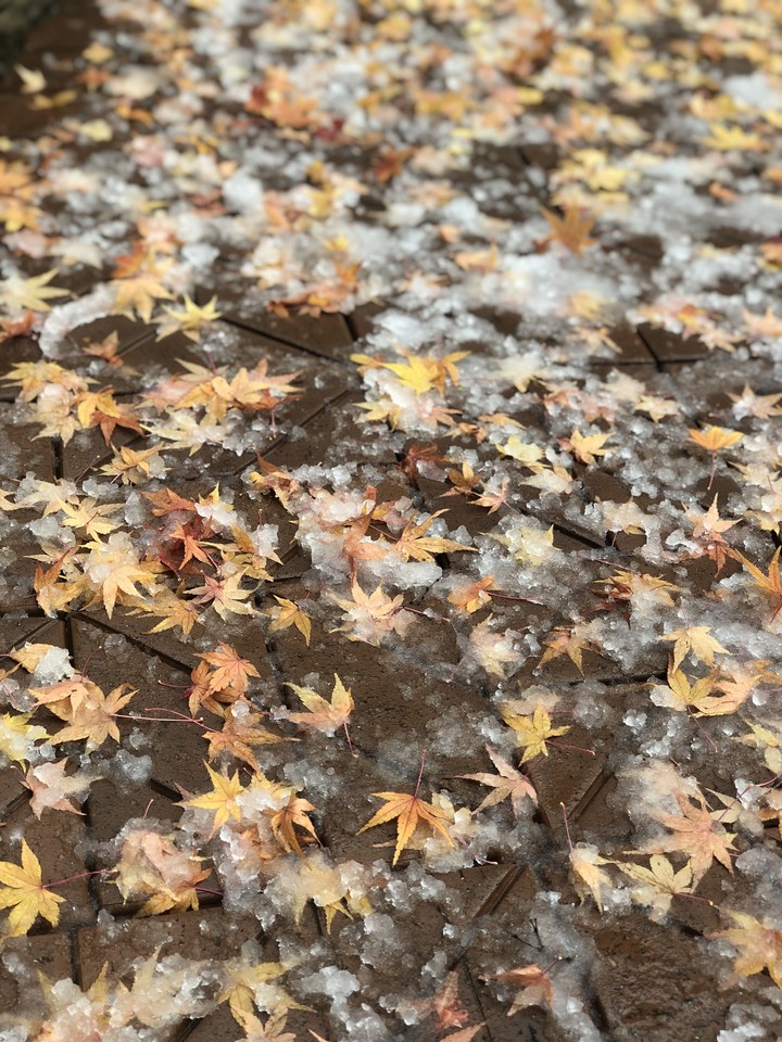 beginning of winter