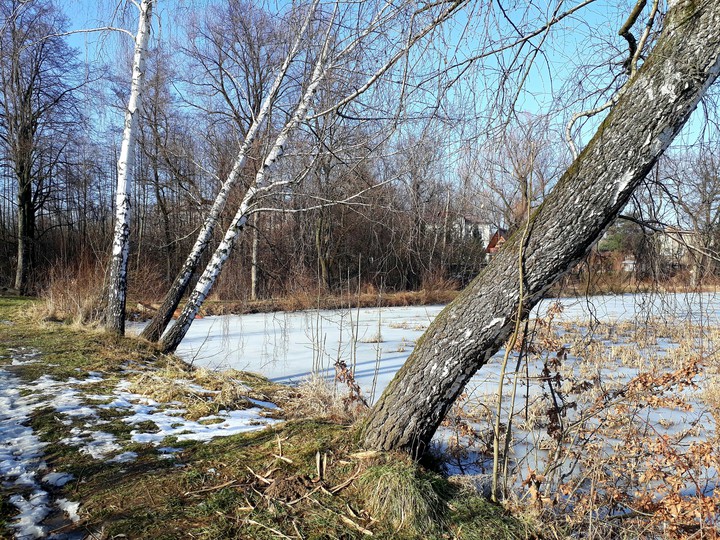 End of winter