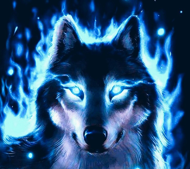 WOLF