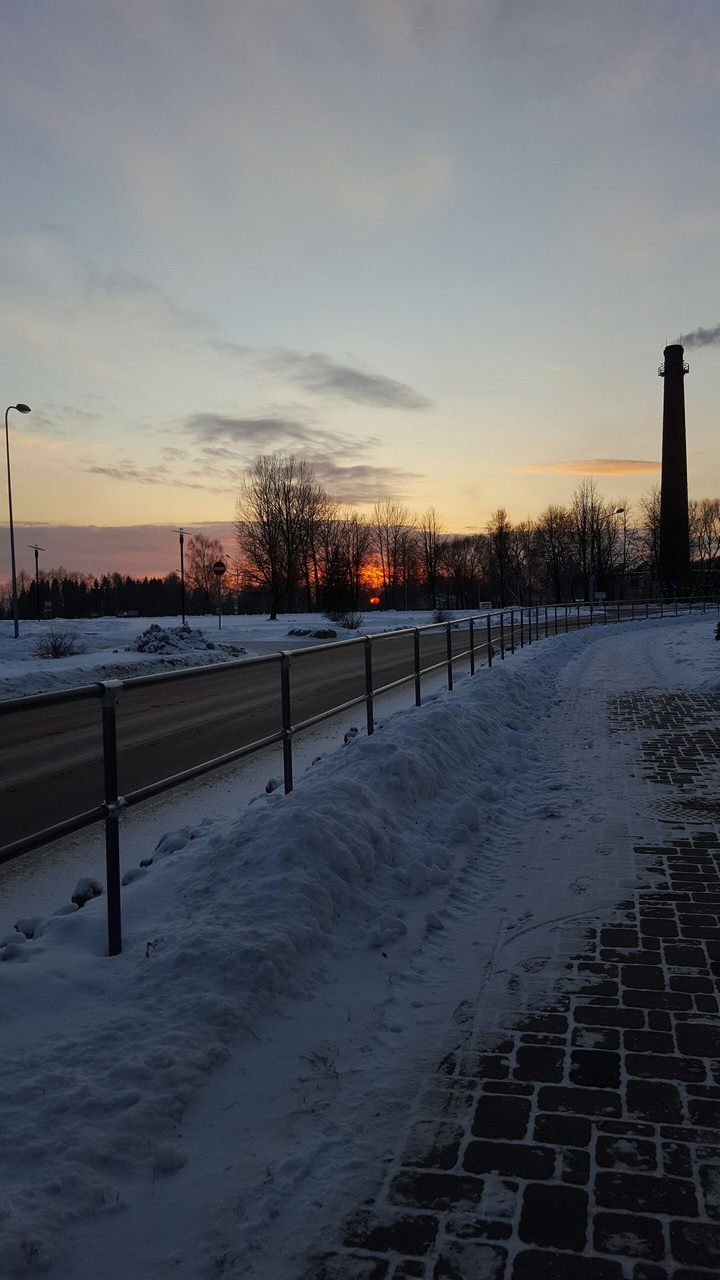 Winter sunset ❄