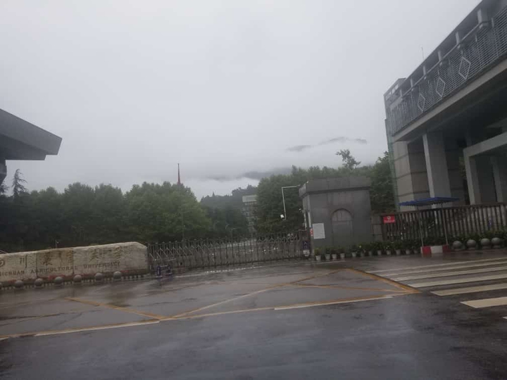 weather