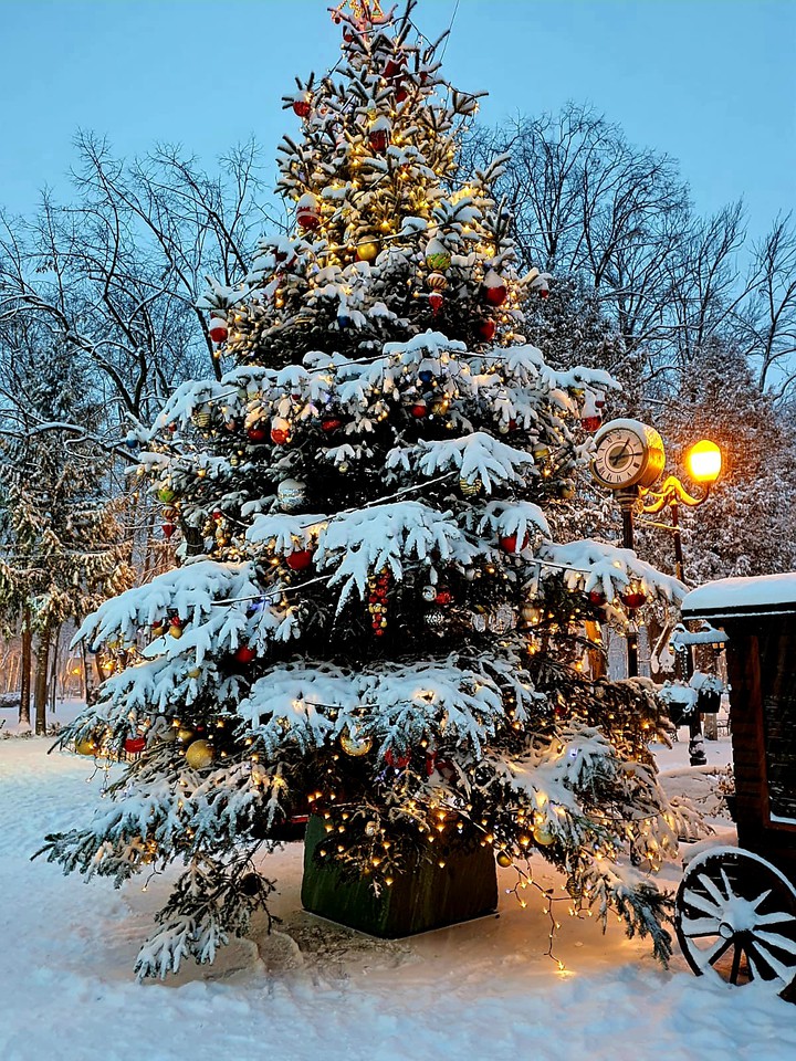 White Christmas