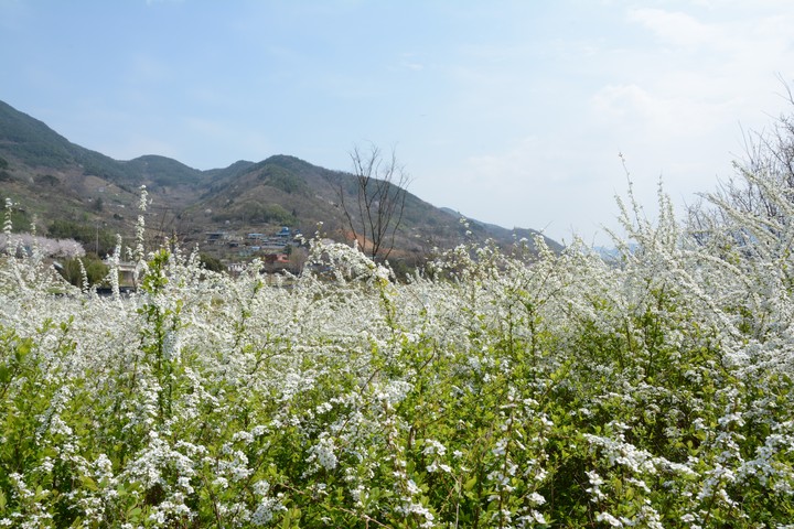 하동이미지