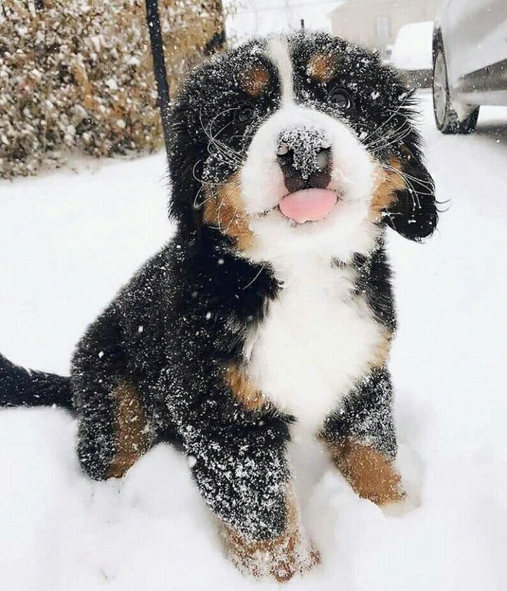 very cute