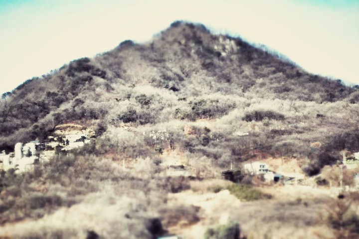 산