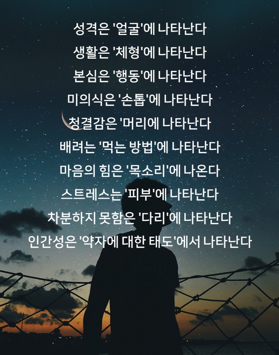 글씨