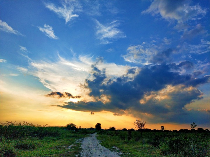 Sunset Sense