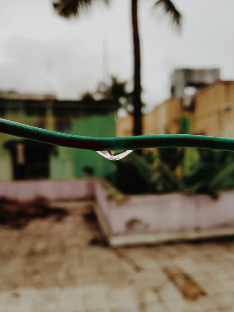 Rainy season