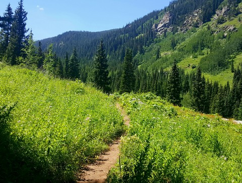 The Mountain Path