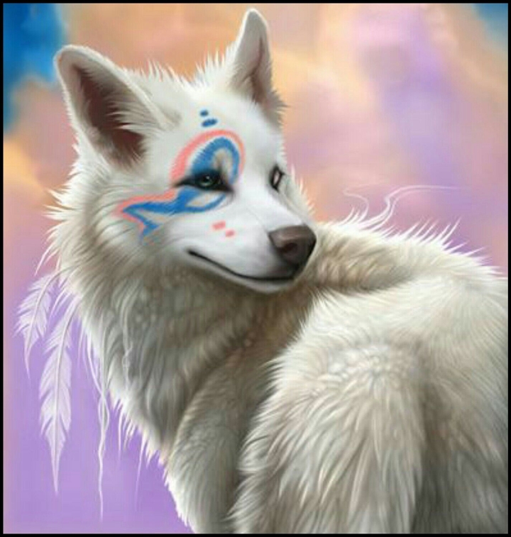 wolfy