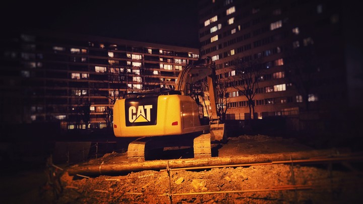 cat in the night