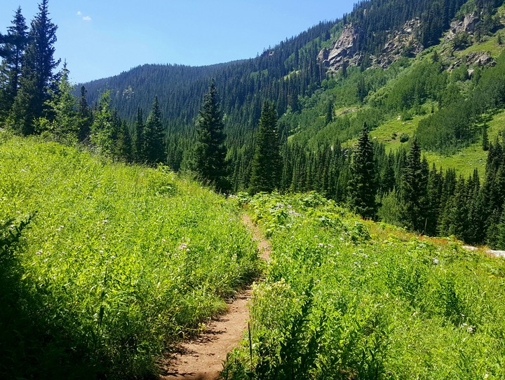 The Mountain Path