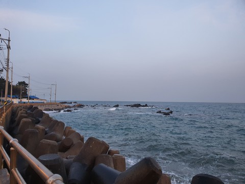 주전