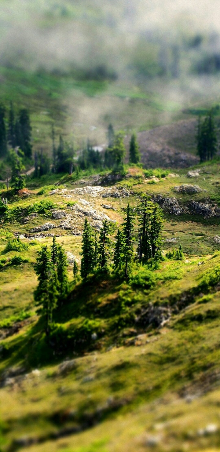 Green Nature