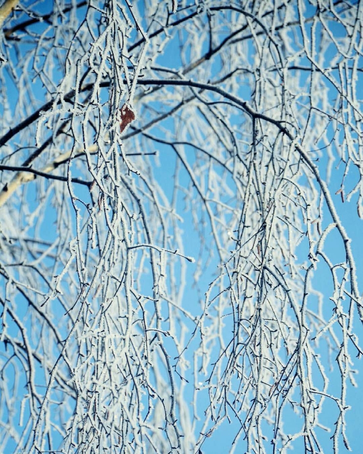 Winter