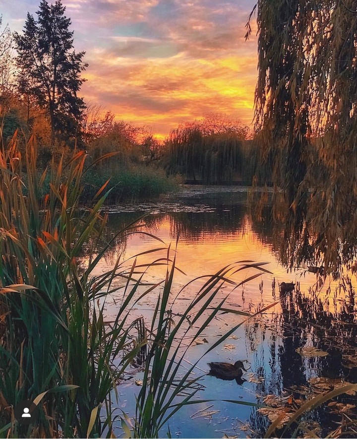 Lake