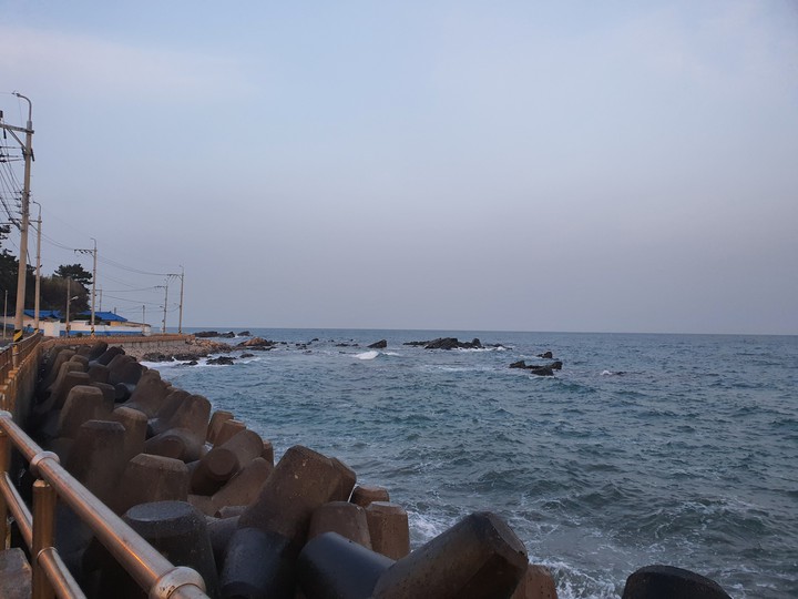 주전