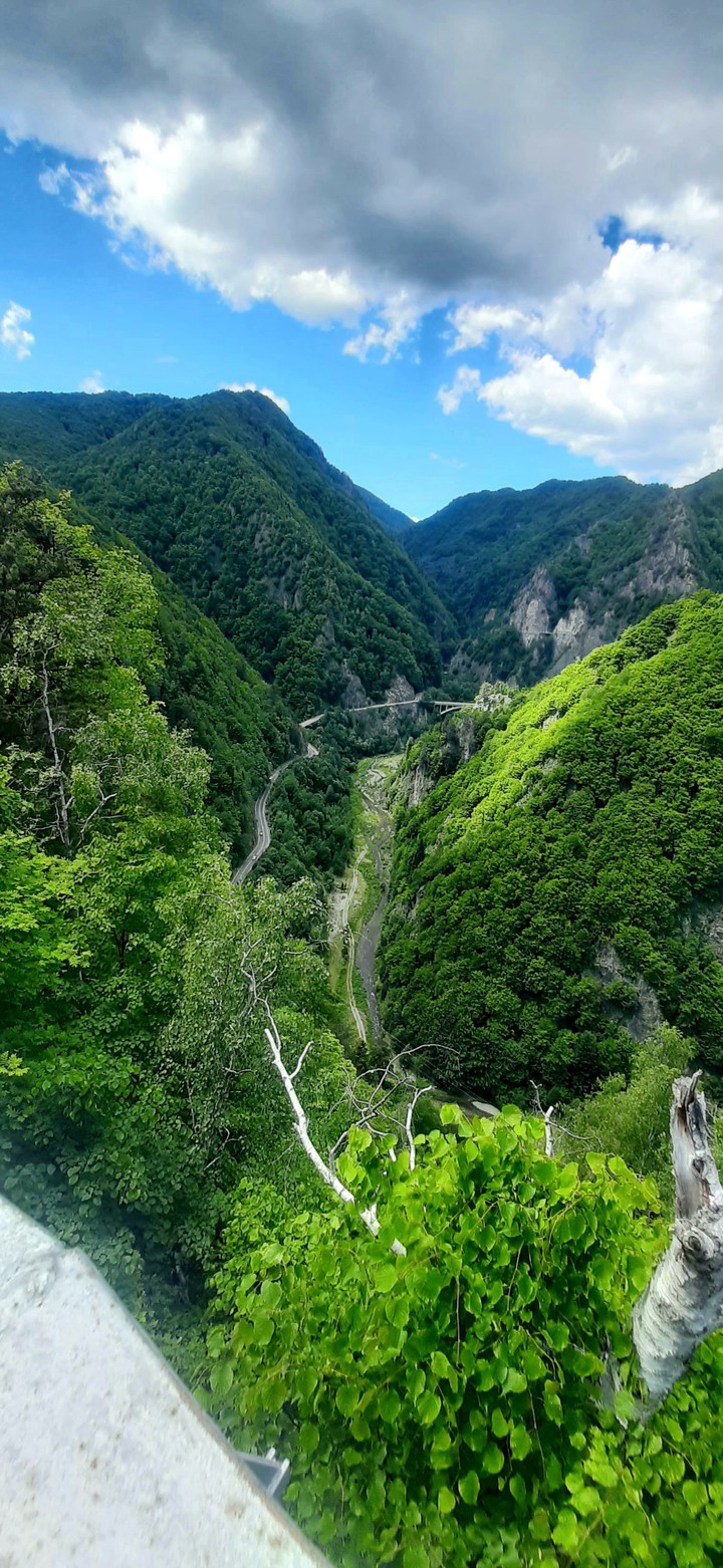 •beautiful nature•