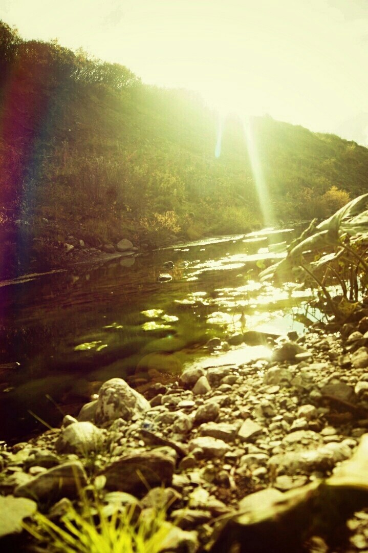 nature