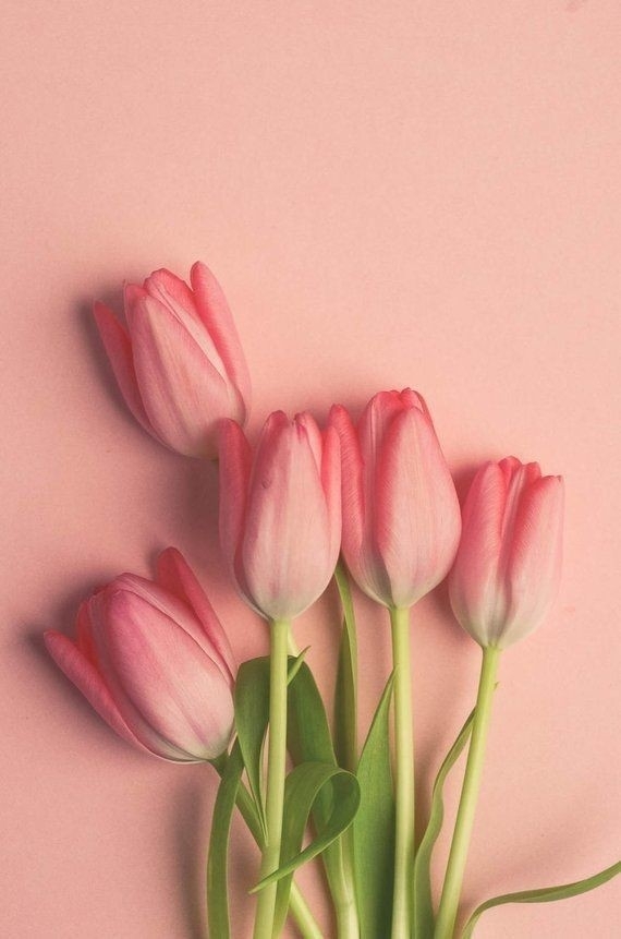flor