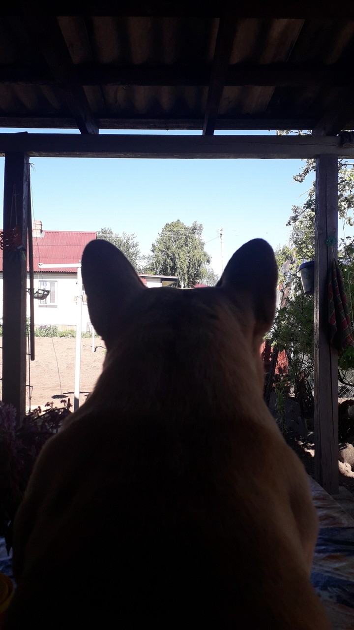 как-то ,так)))