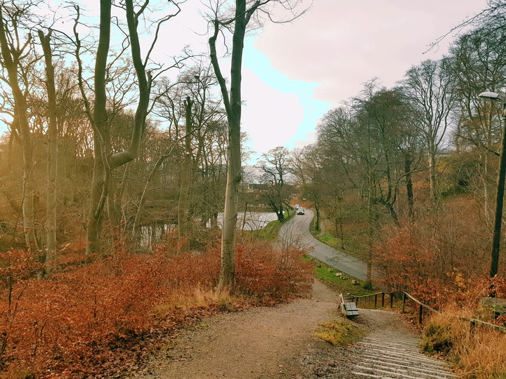 Pålsjo Skog, Helsingborg