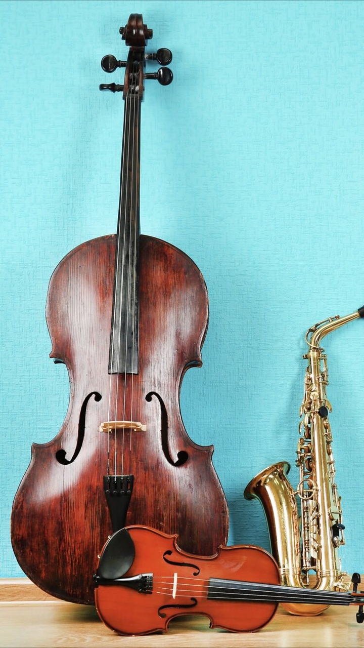 violin 